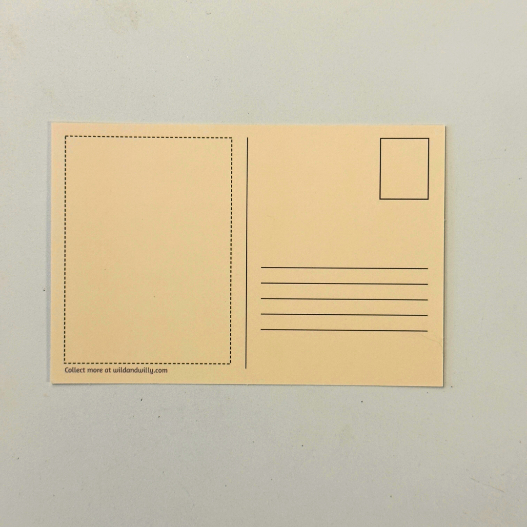 postcard behind horizontal