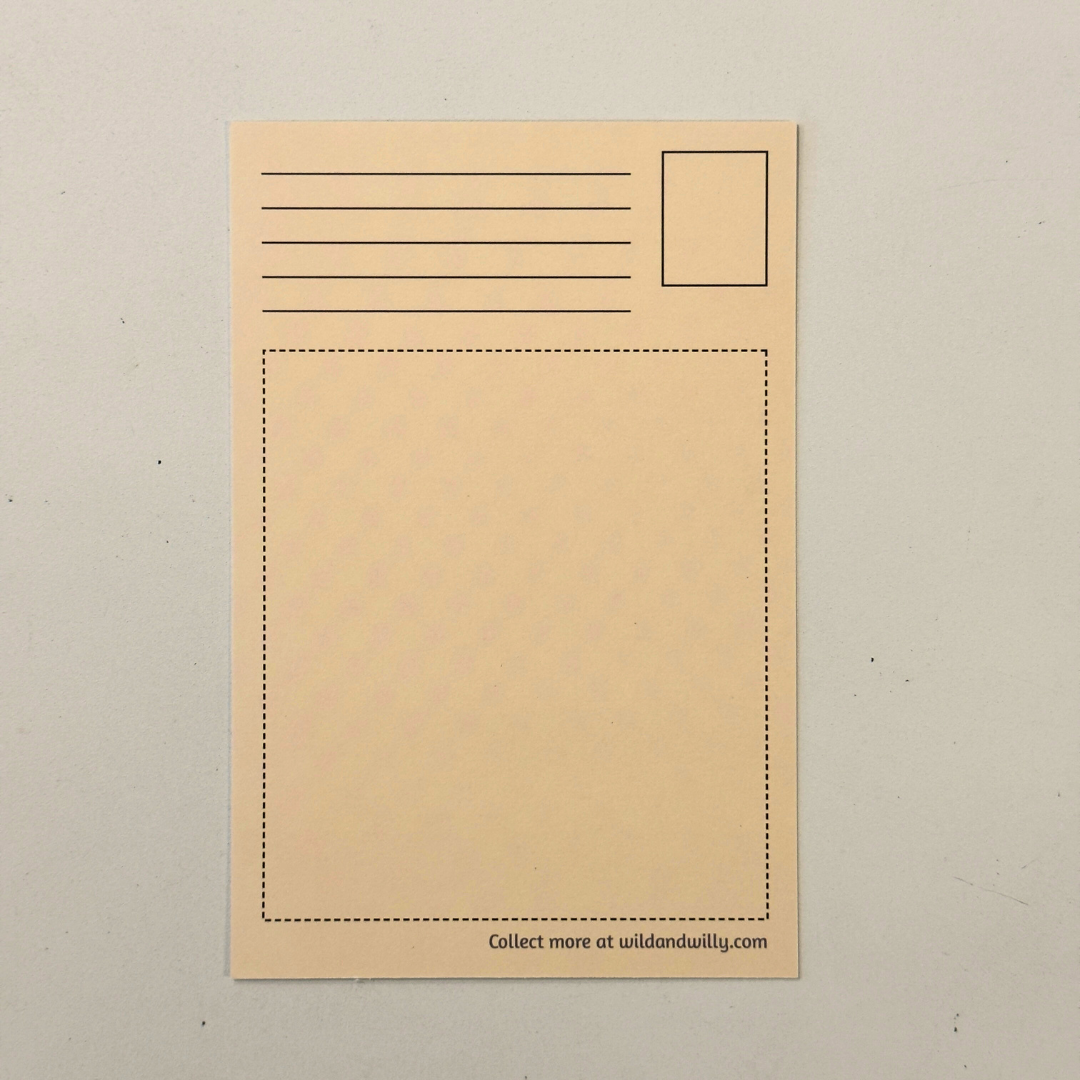 west coast postcard bundle back
