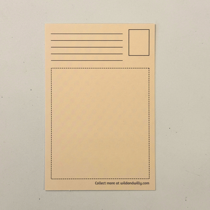 west coast postcard bundle back